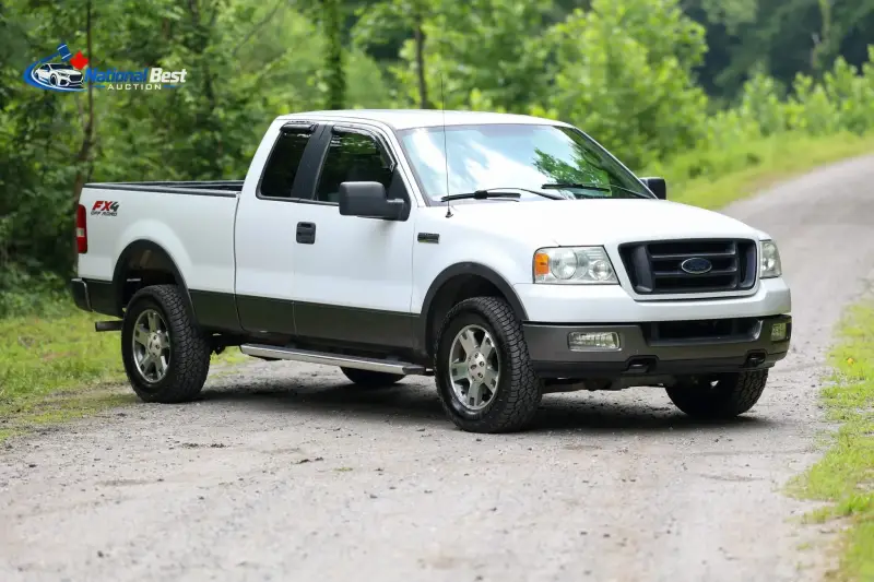 2005 FORD F-150 FX4 photo 5