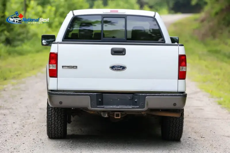 2005 FORD F-150 FX4 photo 9