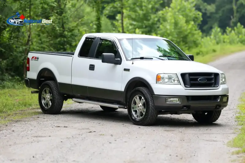 2005 FORD F-150 FX4 photo 4