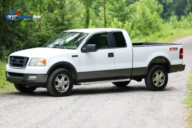 2005 FORD F-150 FX4 photo 1